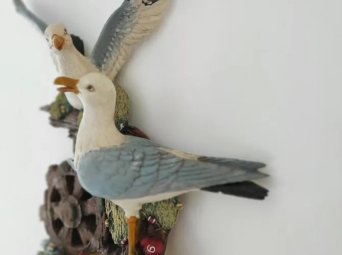 De La Baie Des Anges